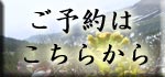 \͂