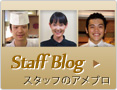 スタッフブログ