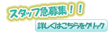 スタッフ募集