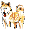 image2.gif
