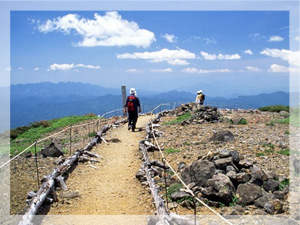 本白根山探勝歩道