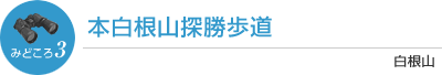 本白根山探勝歩道