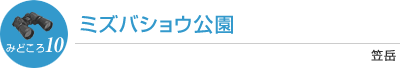 ミズバショウ公園