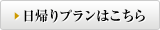 日帰りプランはこちら