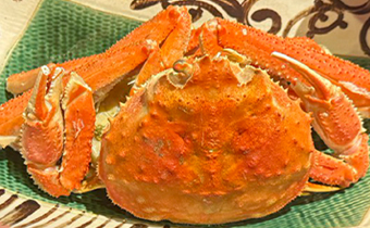 オオズワイガニ